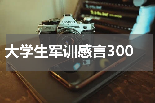 大学生军训感言300