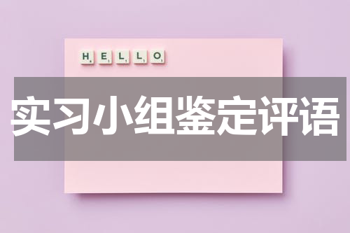 实习小组鉴定评语