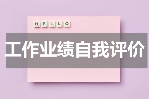工作业绩自我评价