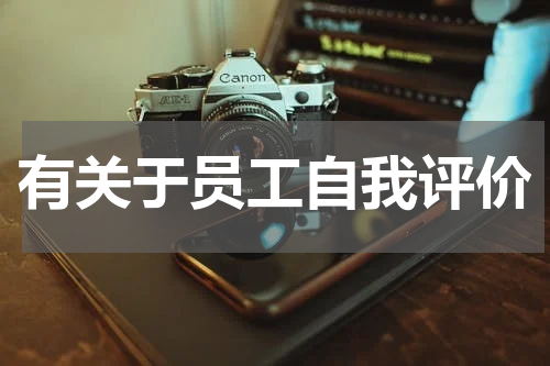 有关于员工自我评价