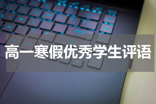 高一寒假优秀学生评语