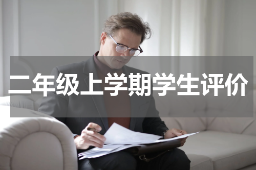 二年级上学期学生评价
