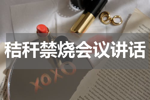 秸秆禁烧会议讲话
