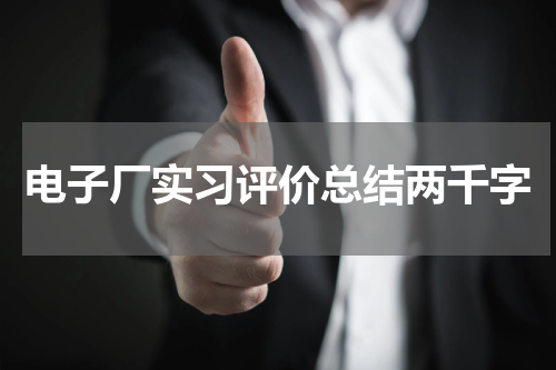 电子厂实习评价总结两千字
