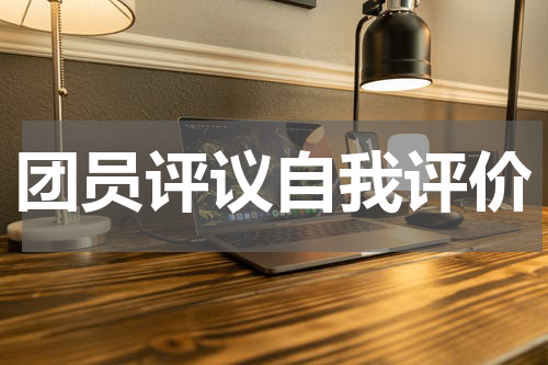 团员评议自我评价