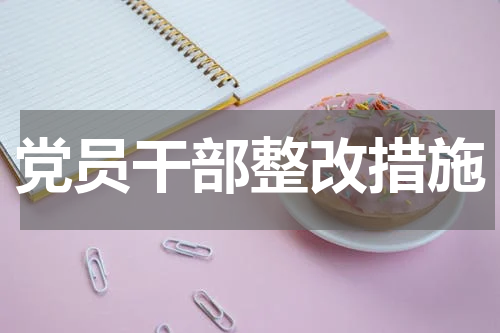 党员干部整改措施