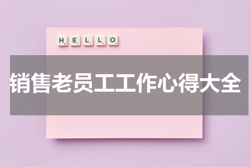销售老员工工作心得大全