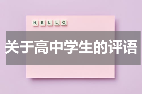 关于高中学生的评语