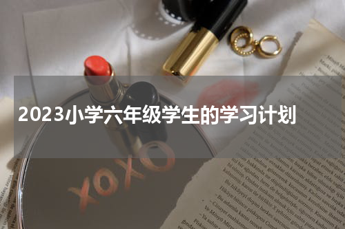 2023小学六年级学生的学习计划