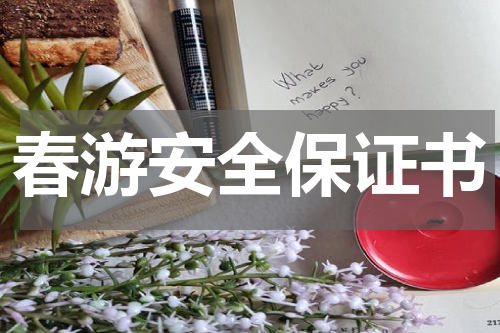 春游安全保证书