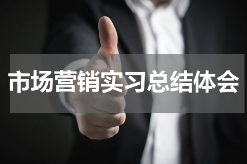 市场营销实习总结体会