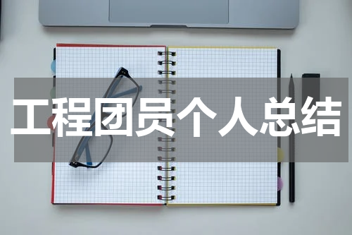 工程团员个人总结