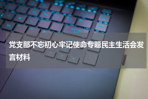党支部不忘初心牢记使命专题民主生活会发言材料