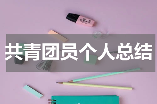 共青团员个人总结