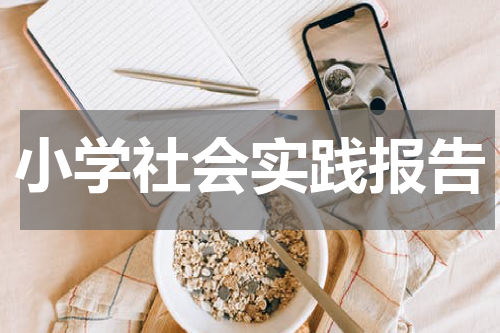 小学社会实践报告