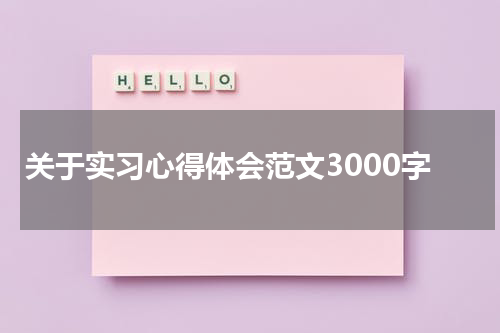关于实习心得体会范文3000字