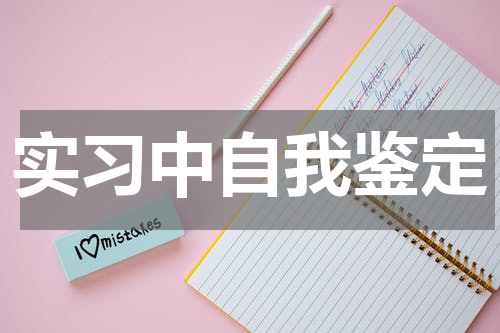 实习中自我鉴定