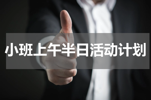 小班上午半日活动计划