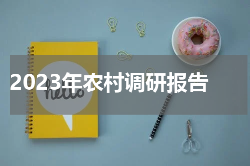 2023年农村调研报告