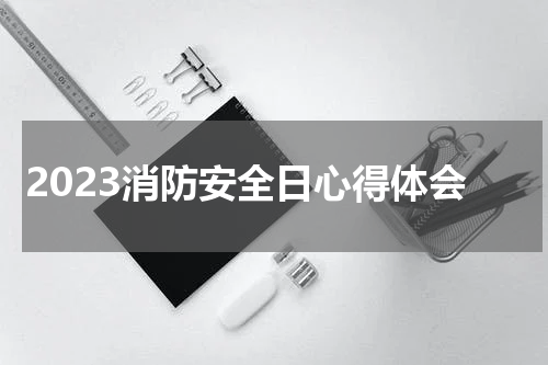 2023消防安全日心得体会