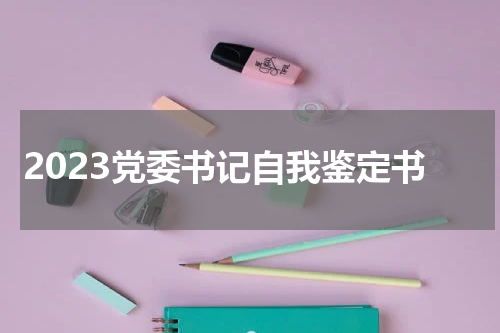 2023党委书记自我鉴定书