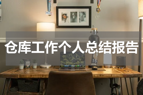 仓库工作个人总结报告