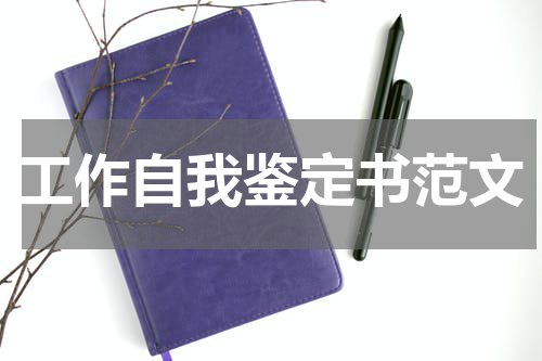 工作自我鉴定书范文