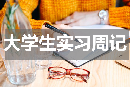 大学生实习周记