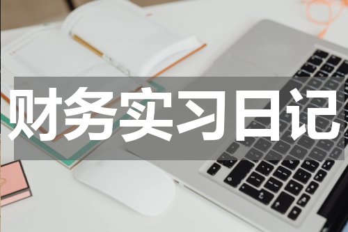 财务实习日记