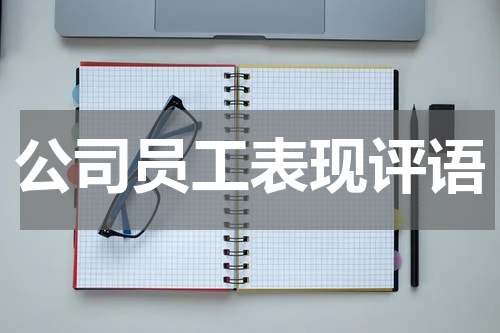 公司员工表现评语
