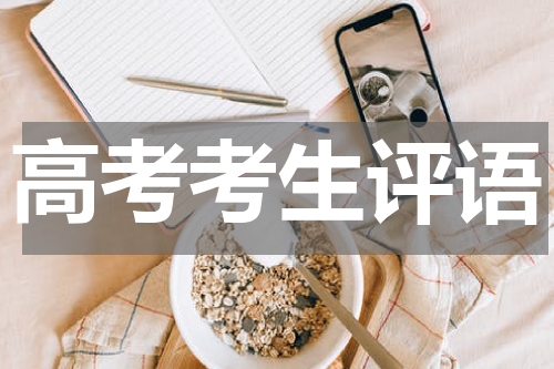 高考考生评语