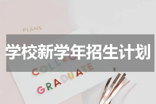 学校新学年招生计划