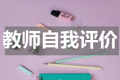教师自我评价