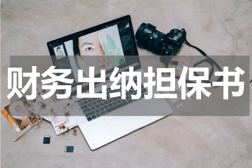 财务出纳担保书