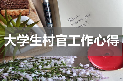 大学生村官工作心得