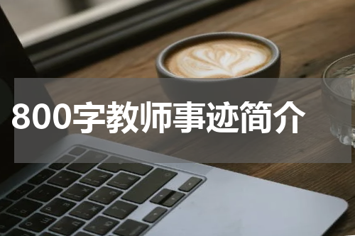 800字教师事迹简介