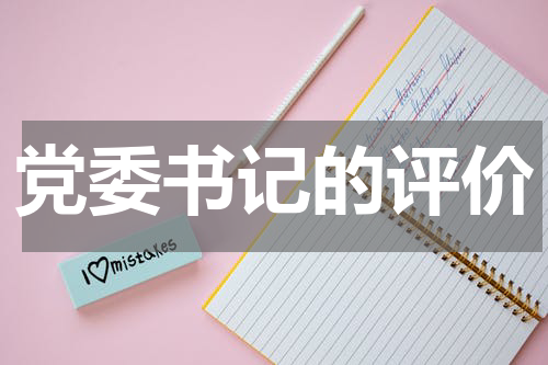 党委书记的评价
