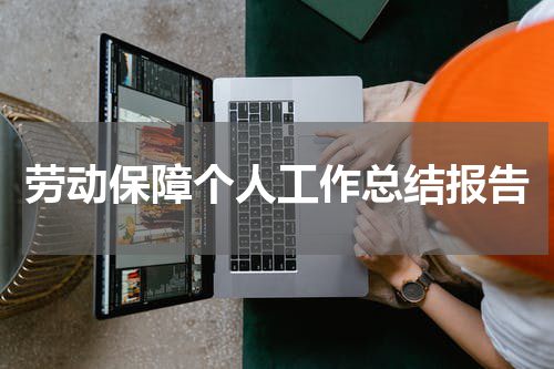 劳动保障个人工作总结报告