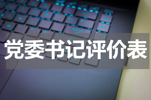党委书记评价表
