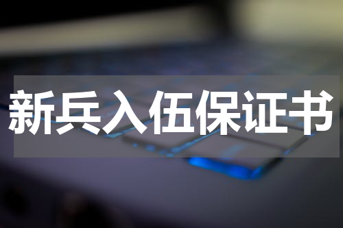 新兵入伍保证书