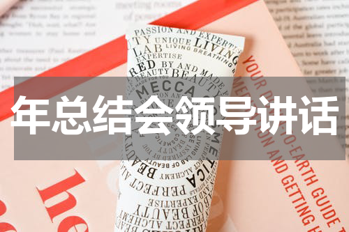 年总结会领导讲话