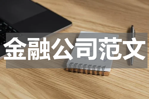 金融公司范文
