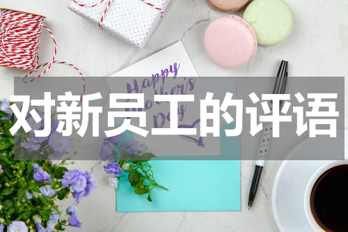 对新员工的评语