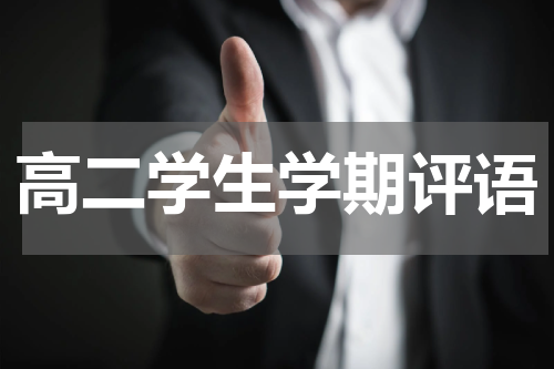 高二学生学期评语