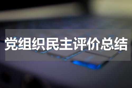 党组织民主评价总结