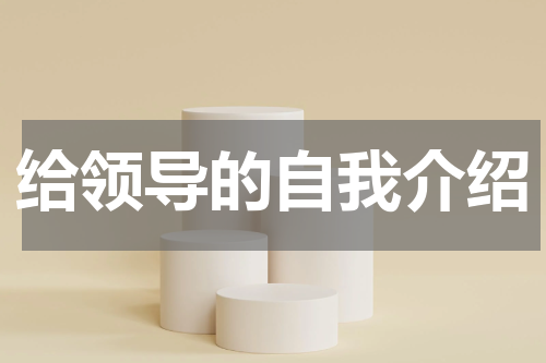 给领导的自我介绍