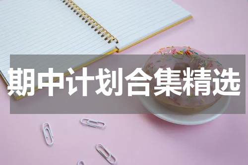 期中计划合集精选