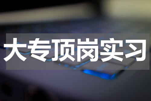 大专顶岗实习