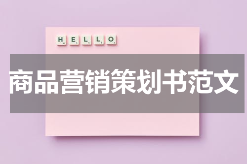 商品营销策划书范文