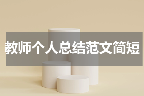 教师个人总结范文简短